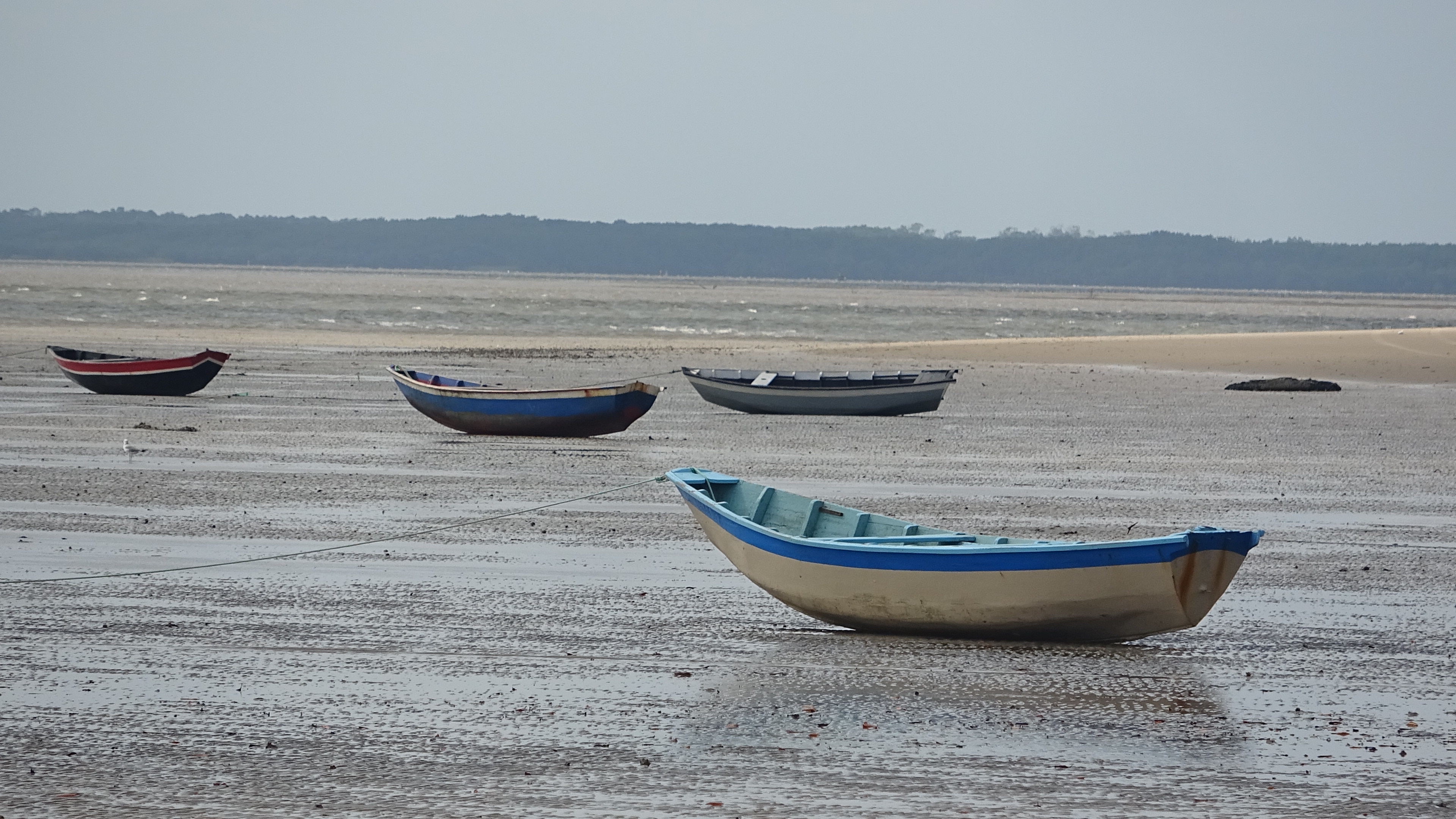 Brasile - Delta do Parnaiba